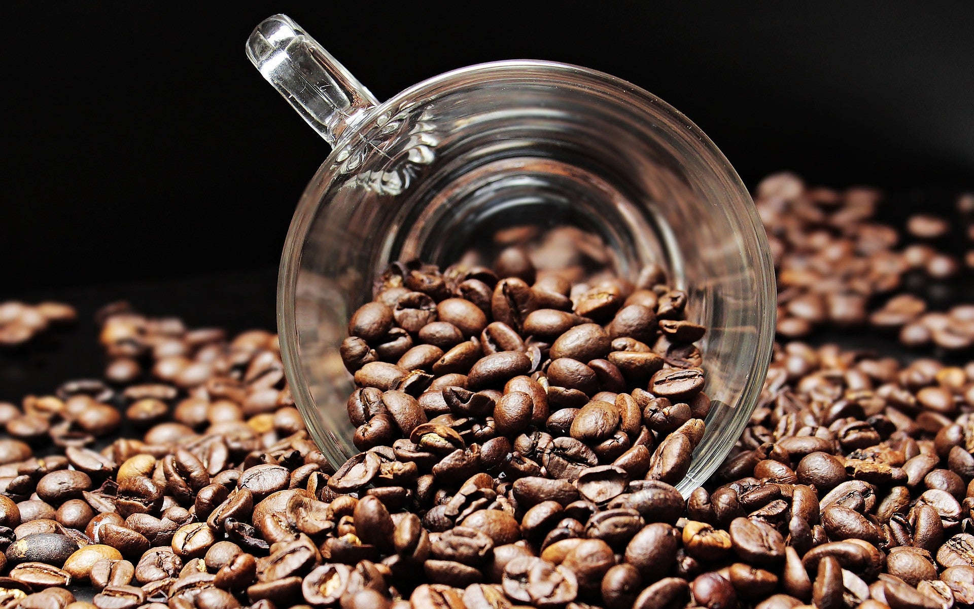 Donckers Koffie